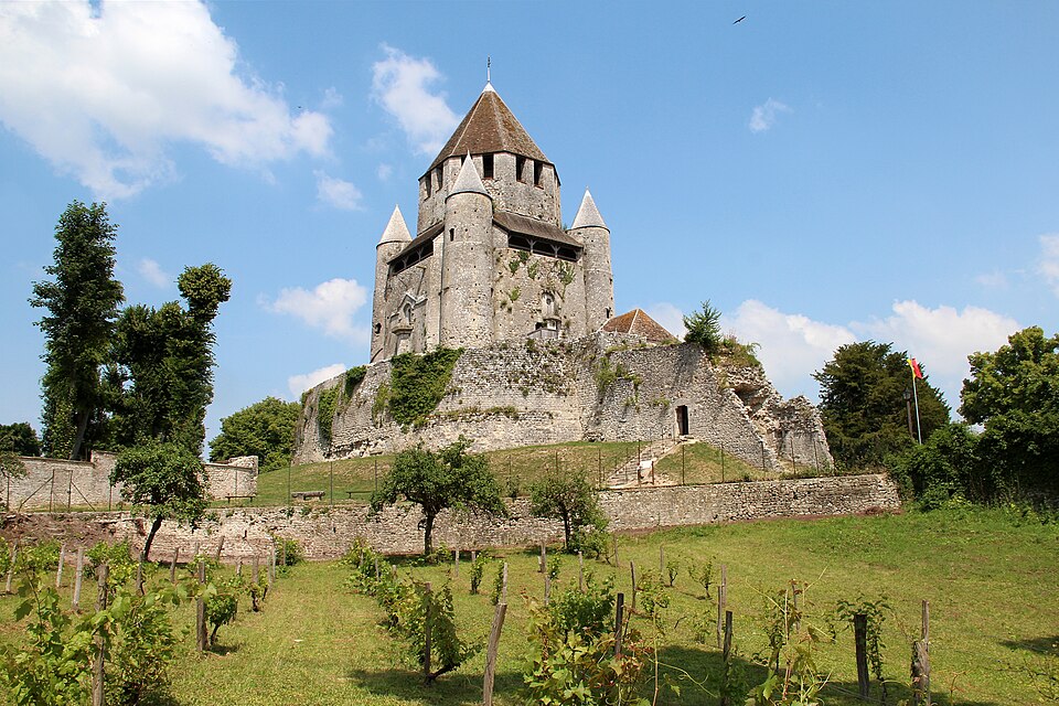 Provins : cité médiévale classée UNESCO, remparts, spectacles et accès depuis Paris