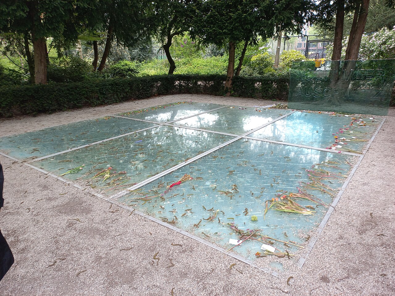 Het monument "Nooit meer Auschwitz" in het Wertheimpark, platen van gebroken glas bedekt met bloemen