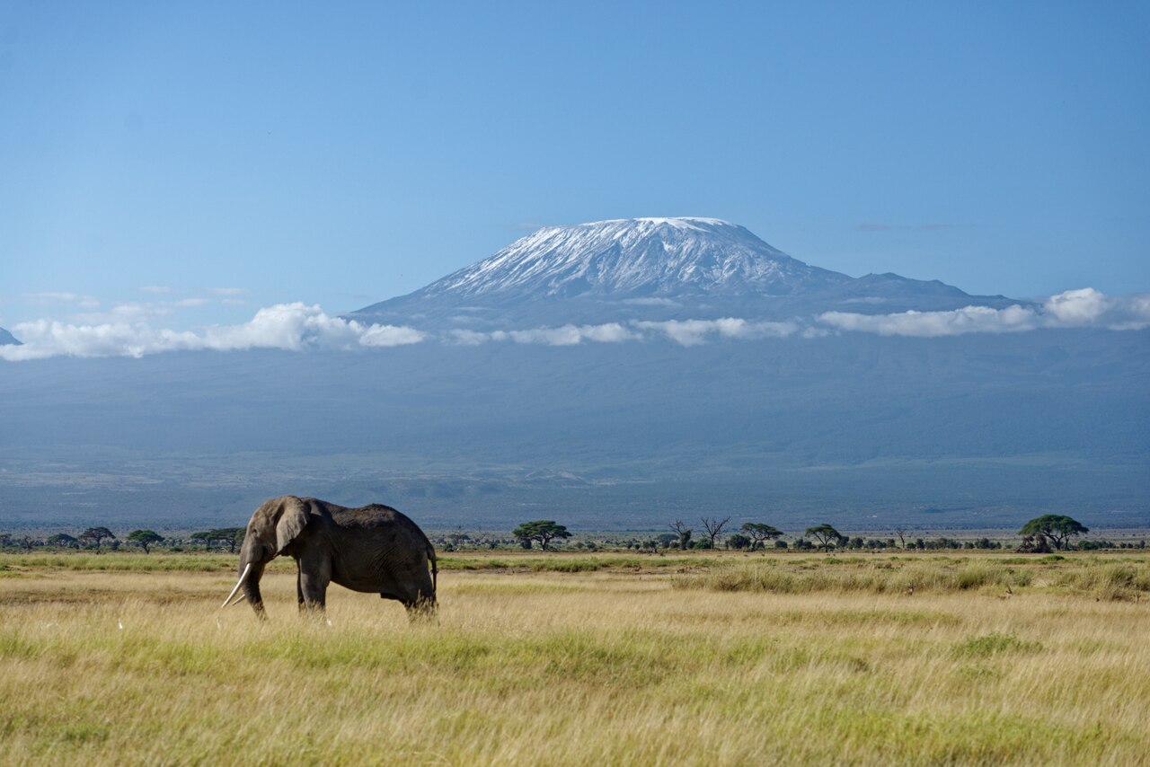 Amboseli National Park: elephants at the foot of Kilimanjaro, fees and tips