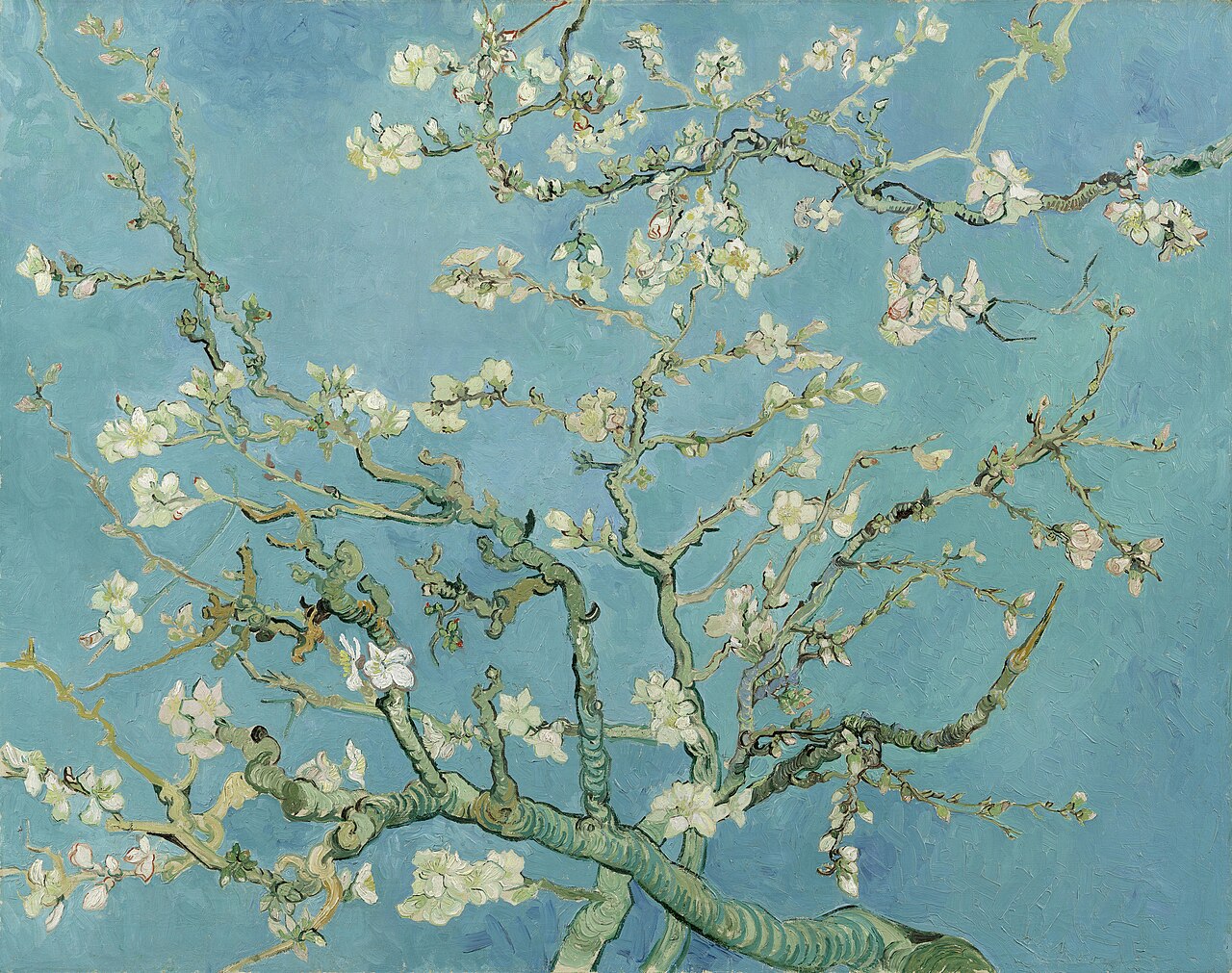 Musée Van Gogh Amsterdam : billets, horaires et conseils de visite