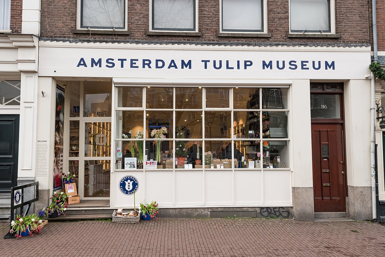 Amsterdam Tulip Museum: history, opening hours and prices