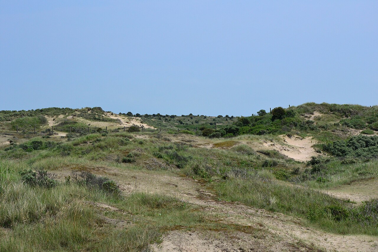 Las dunas de las Amsterdamse Waterleidingduinen, donde se filtra el agua del Rin
