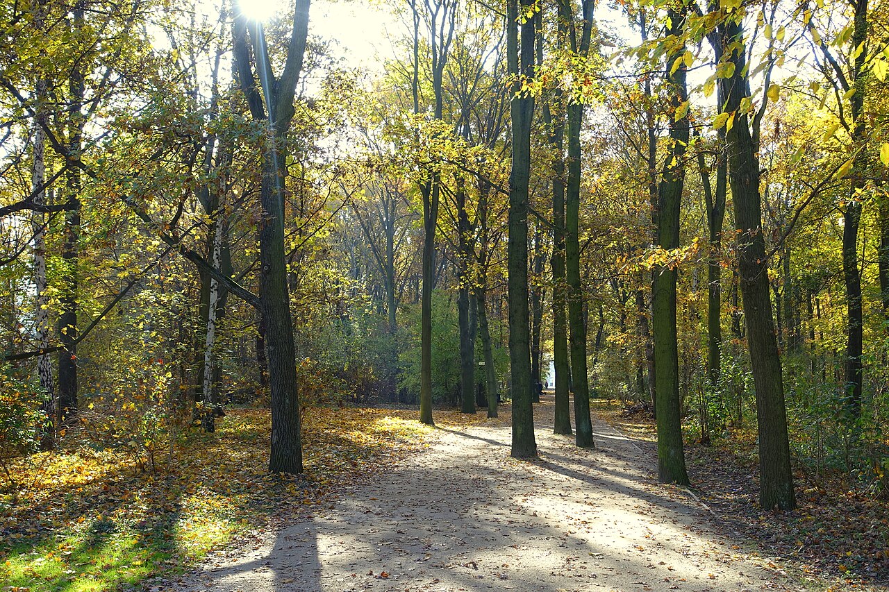 Allée du Tiergarten en automne, sous les feuillages jaunes