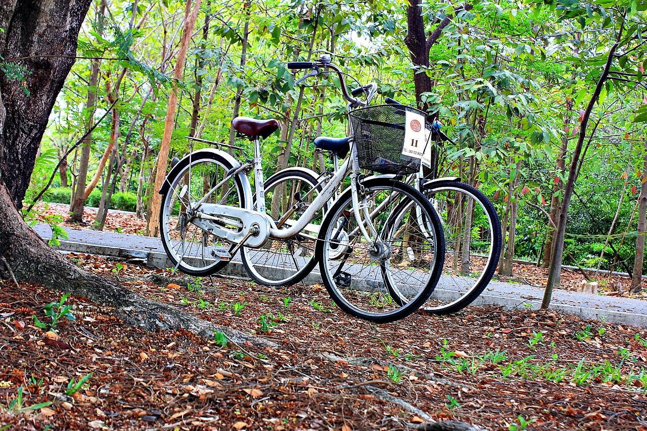 Cycling in Bangkok: guided rides, Bang Krachao, bike hire and safety tips