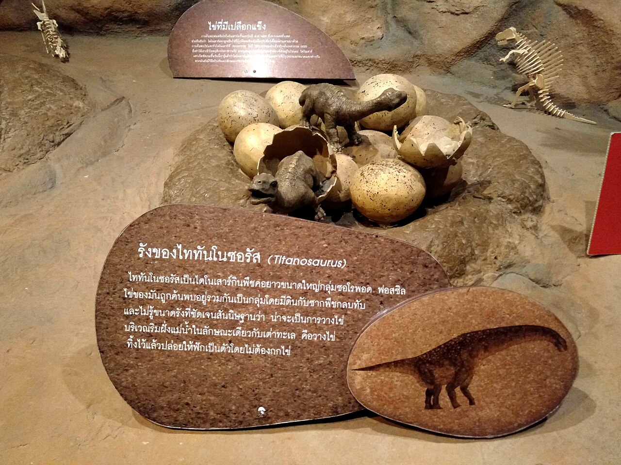 Une maquette de nid de dinosaures au musée des enfants de Bangkok