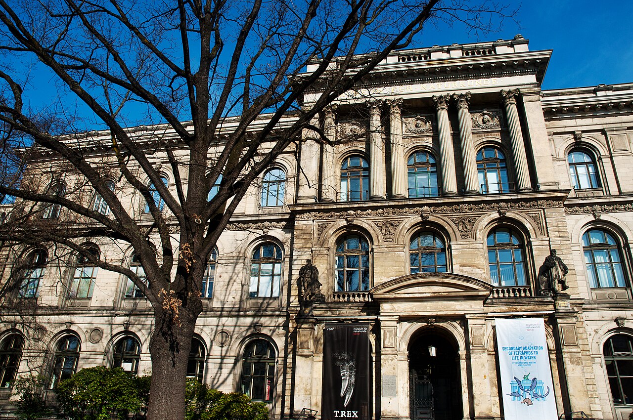 Musée d'histoire naturelle de Berlin (Museum für Naturkunde) : dinosaures, billets et horaires