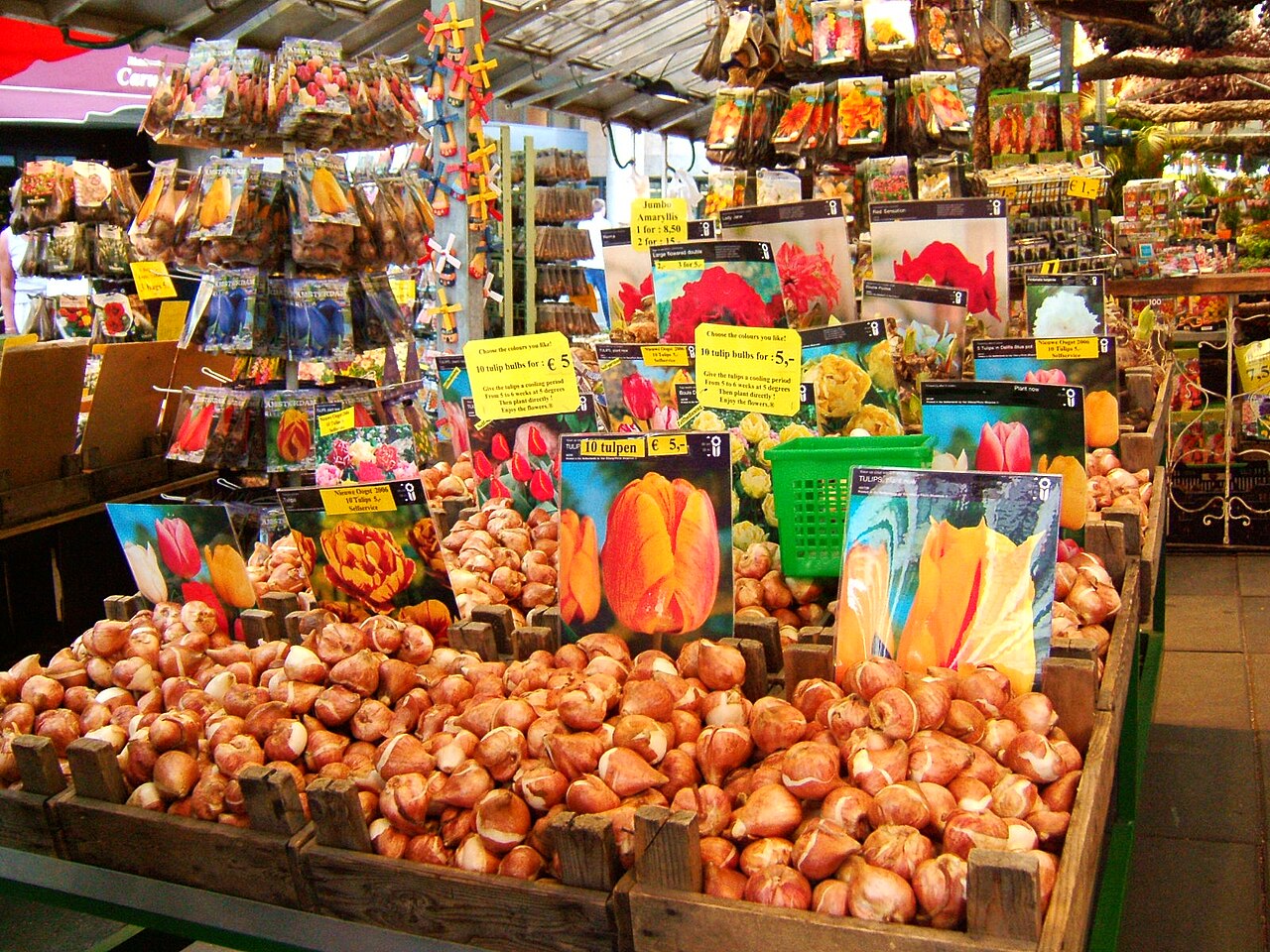 Tulip bulbs at the Flower Market