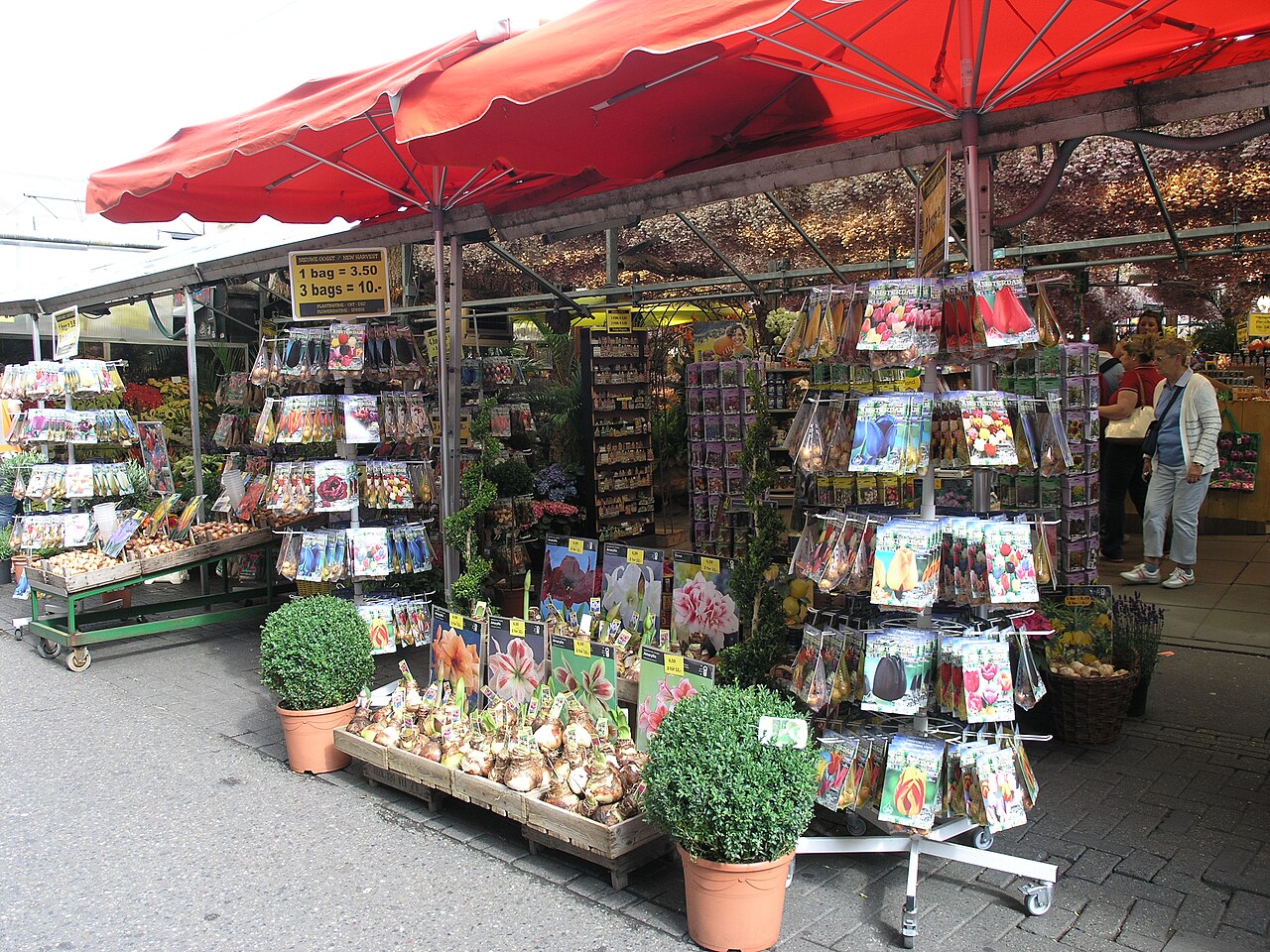 Marché aux fleurs (Bloemenmarkt) d'Amsterdam
