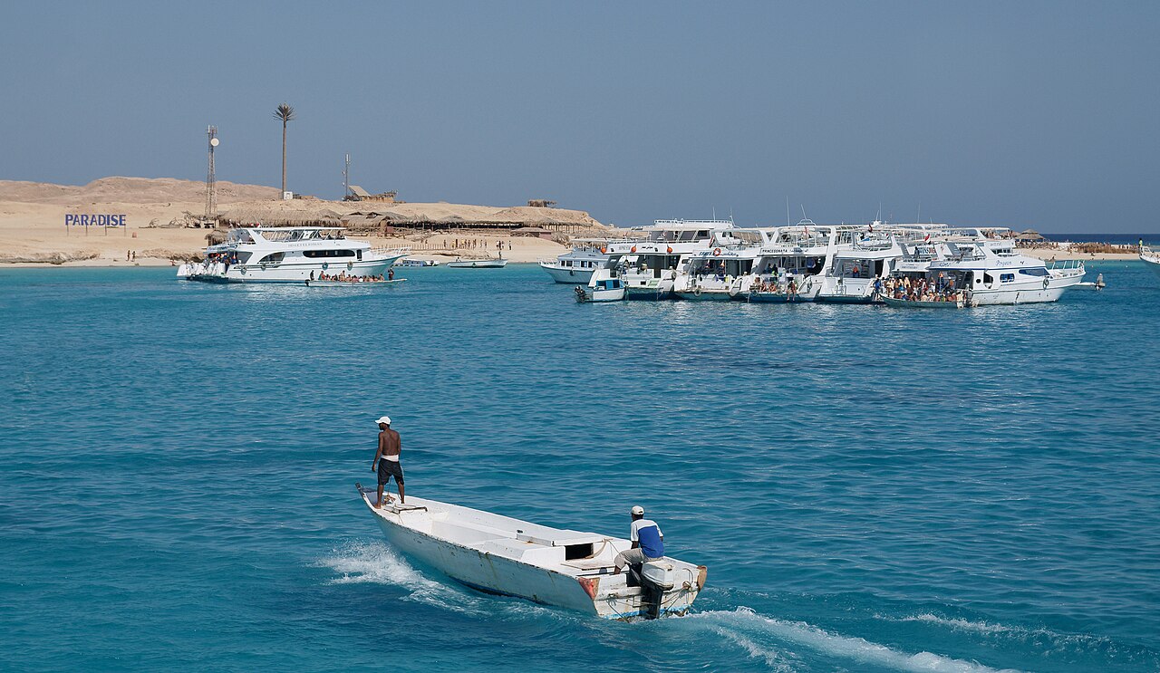 Nager avec les dauphins à Hurghada, de façon responsable