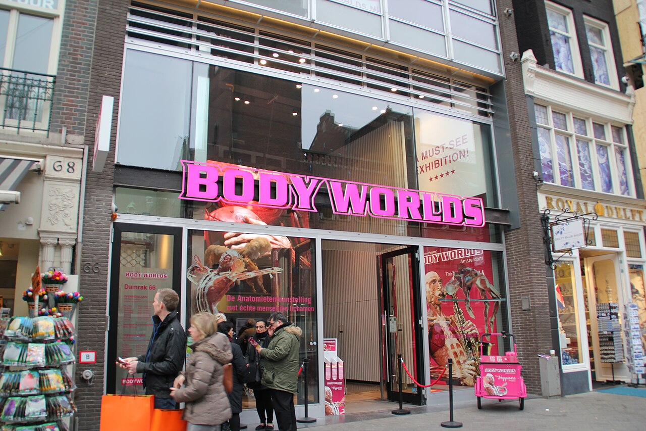 Body Worlds Amsterdam : billets, horaires et durée de visite