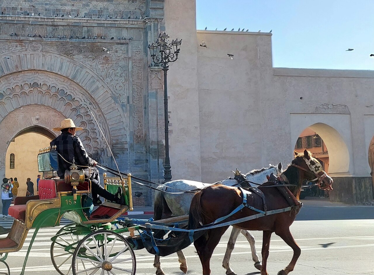Calèche devant une porte monumentale de Marrakech