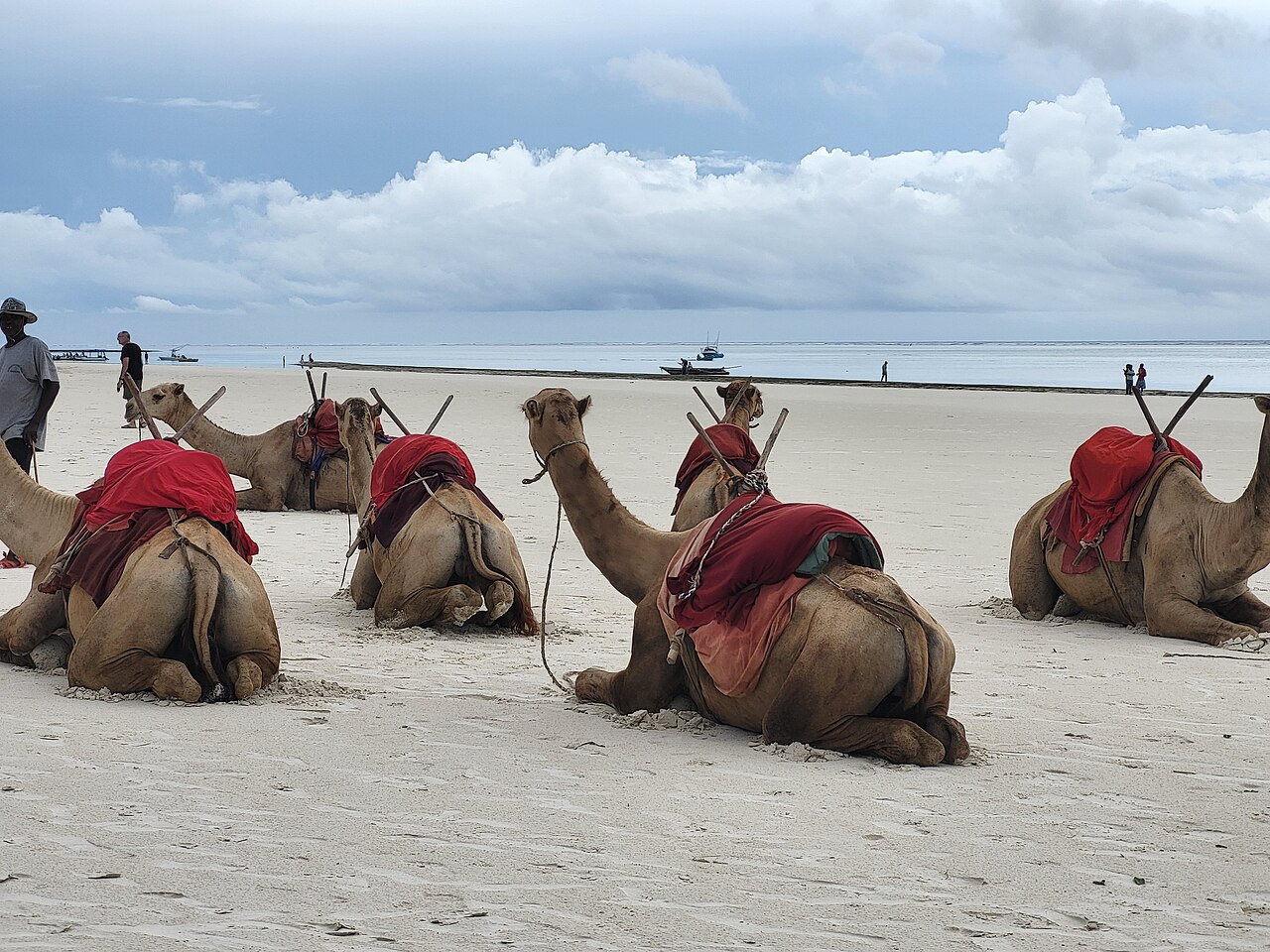 Diani Beach : la grande plage du sud de la côte kényane