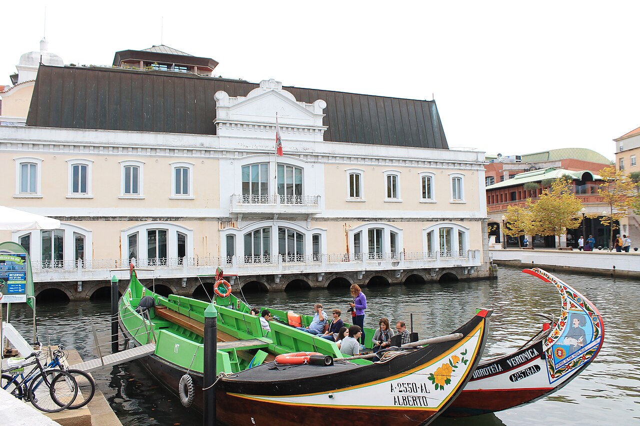 Aveiro depuis Porto : canaux, moliceiros et Costa Nova
