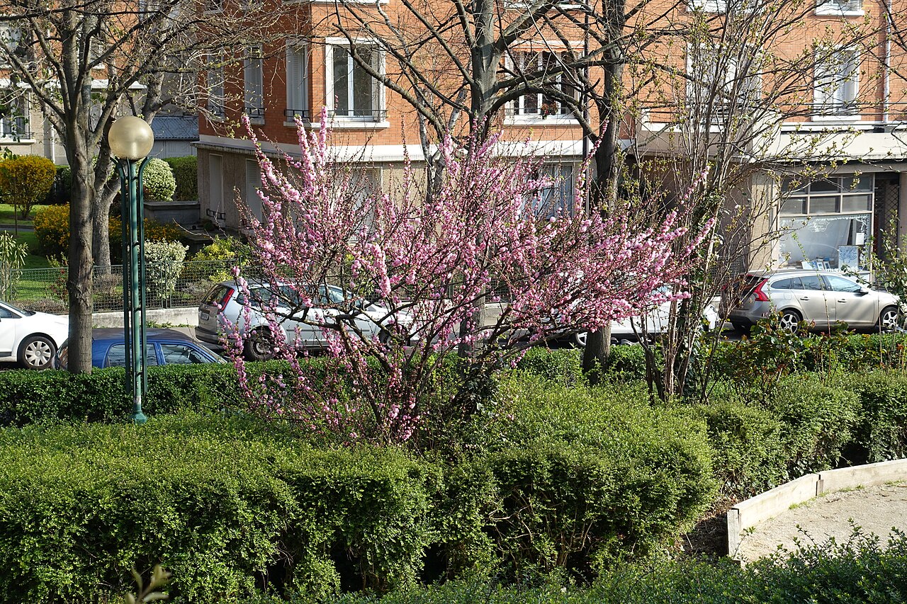 La Promenade
