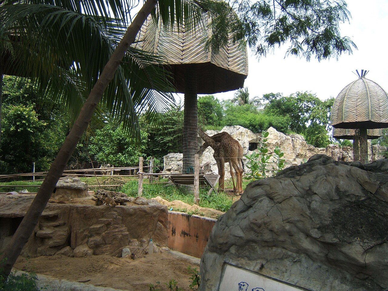 Zoo de Dusit à Bangkok : fermé en 2018, ce qu'il reste à voir