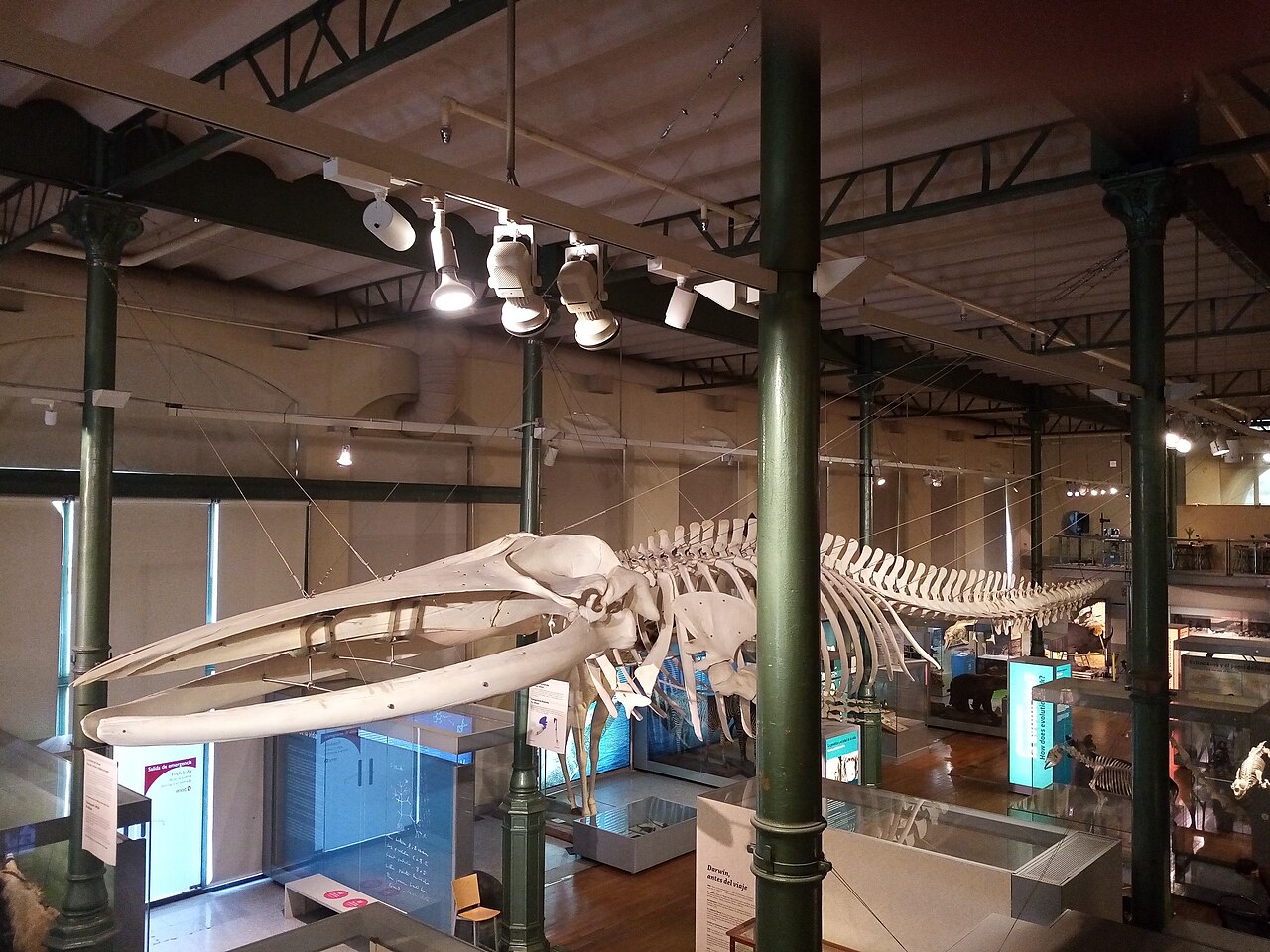 Musée national des sciences naturelles de Madrid