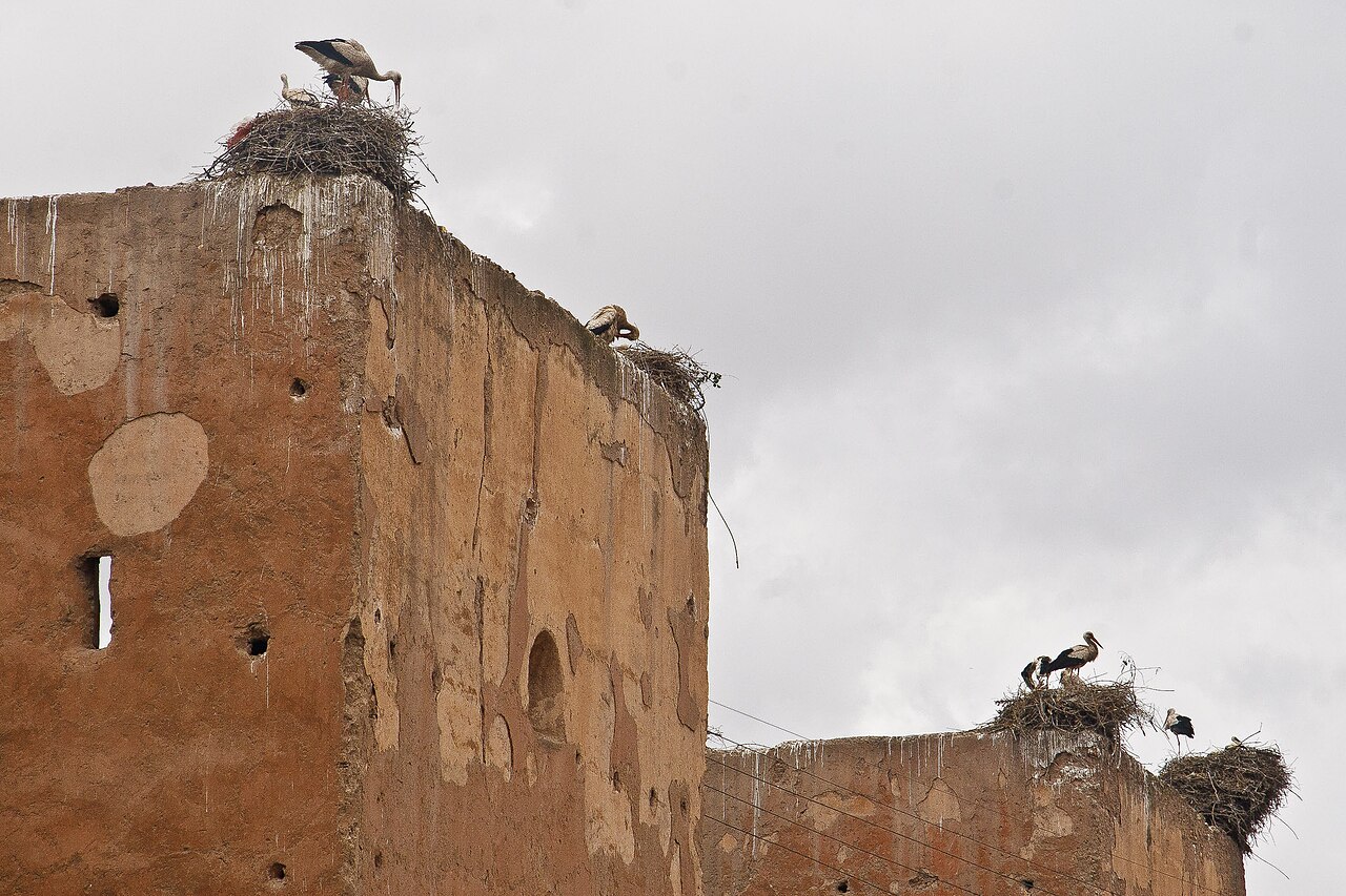 The storks on the ramparts