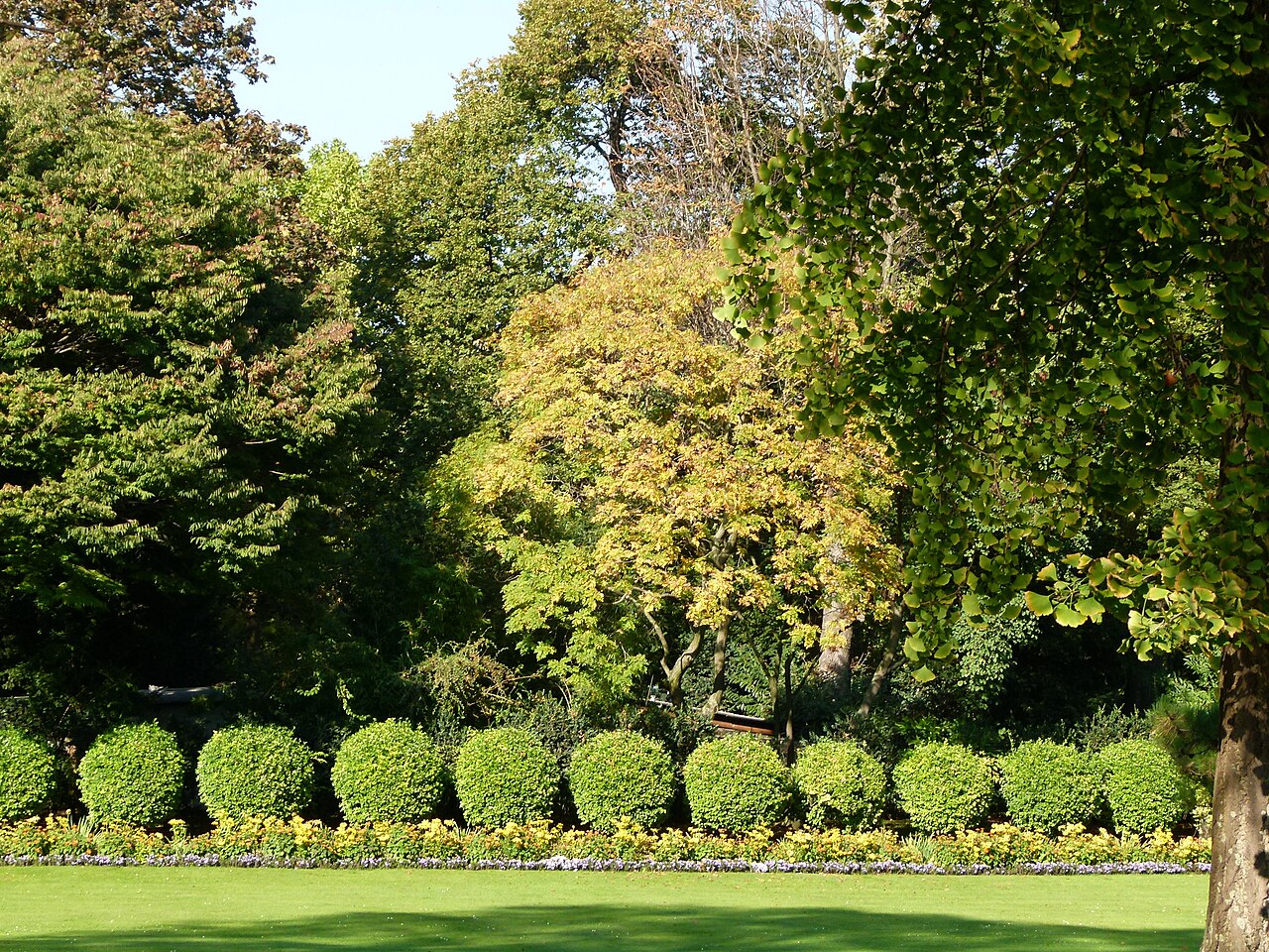 Things to do in Paris in October: weather, events and outings