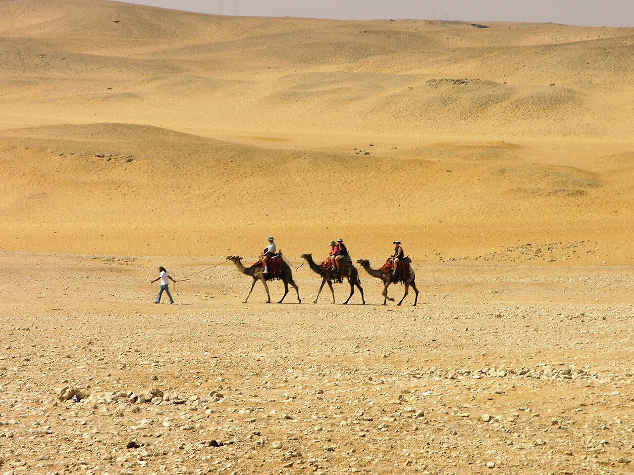 Le plateau de Gizeh