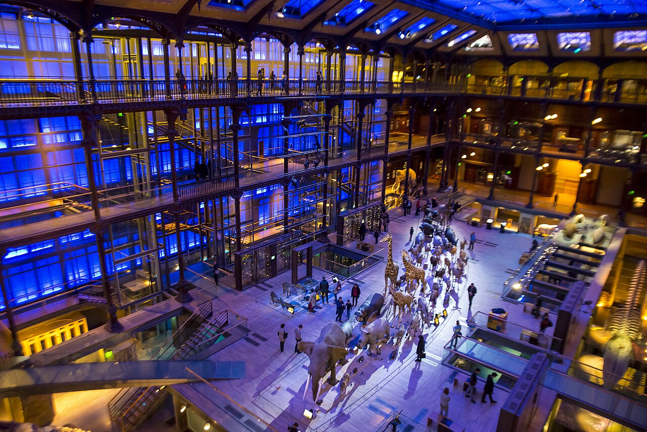 Muséum national d'Histoire naturelle (MNHN) : galeries, Jardin des Plantes, horaires et tarifs