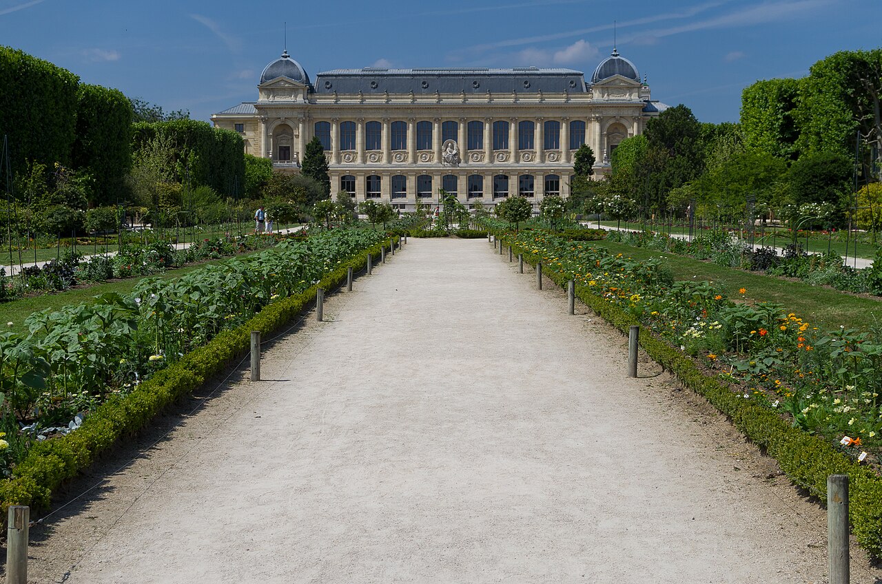 Le Jardin des plantes