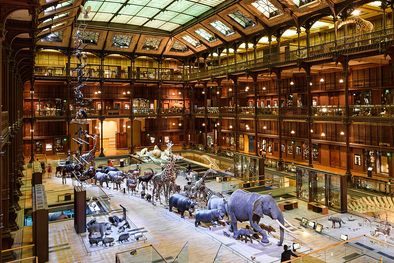 Muséum national d'Histoire naturelle (MNHN) : galeries, Jardin des Plantes, horaires et tarifs