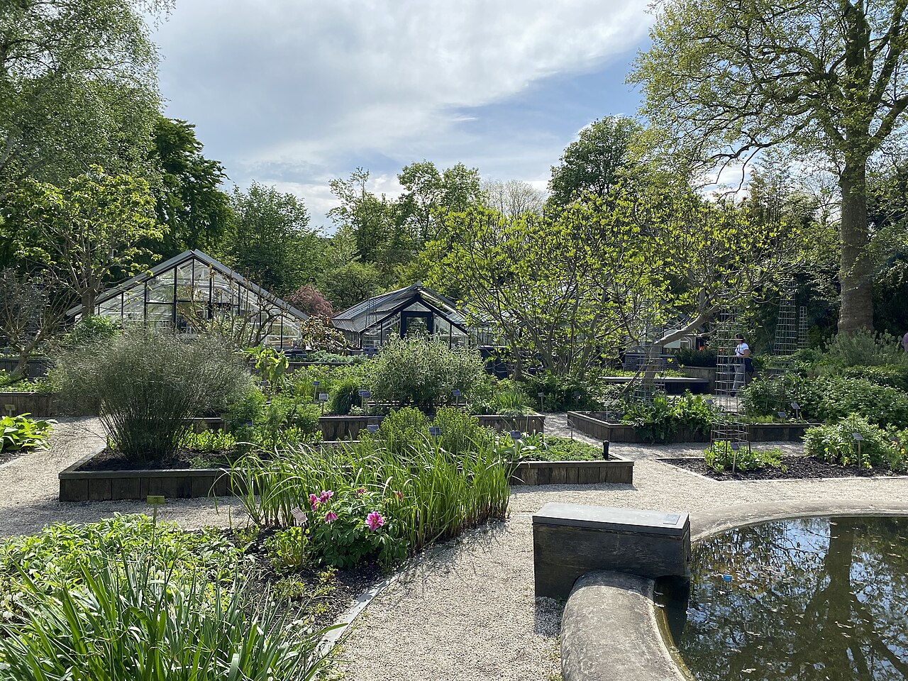 Hortus Botanicus : le jardin botanique d'Amsterdam