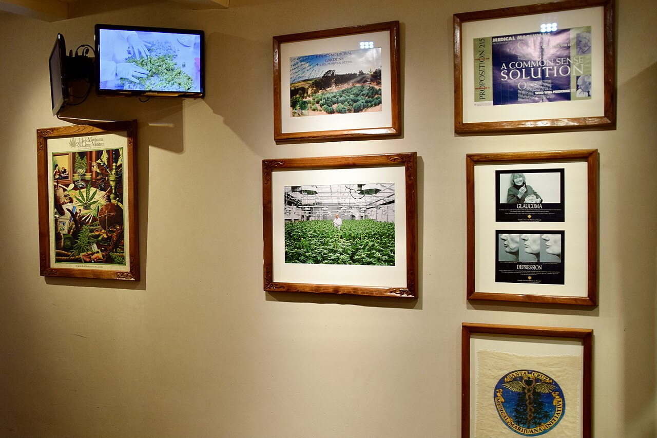阿姆斯特丹大麻與麻博物館（Hash Marihuana & Hemp Museum）：門票、開放時間與參觀指南