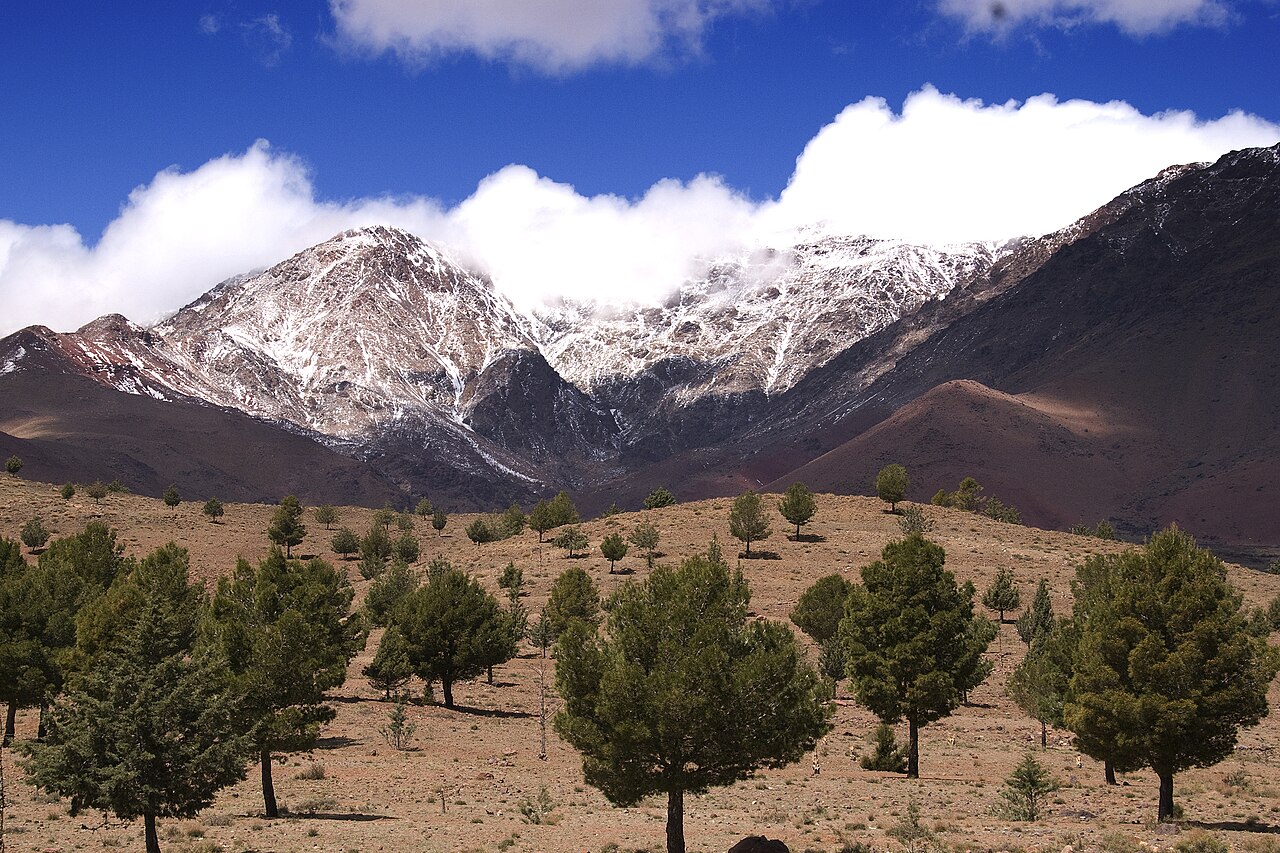 Christmas and New Year in Marrakech: weather, parties and ideas