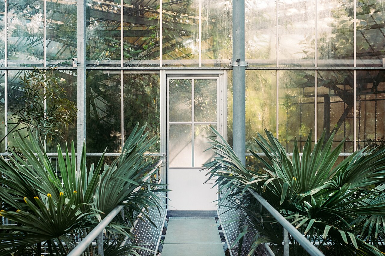 Hortus Botanicus : le jardin botanique d'Amsterdam