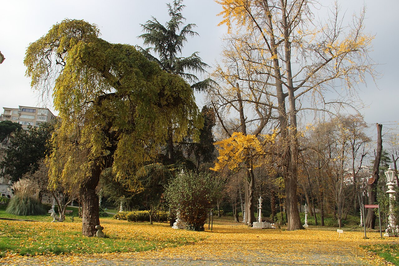 The garden in autumn
