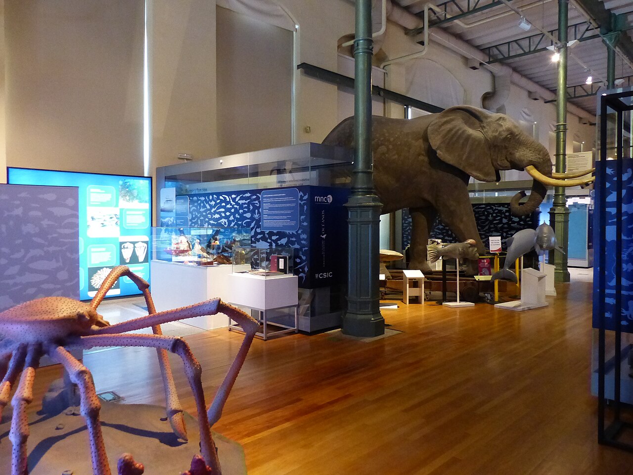 Musée national des sciences naturelles de Madrid