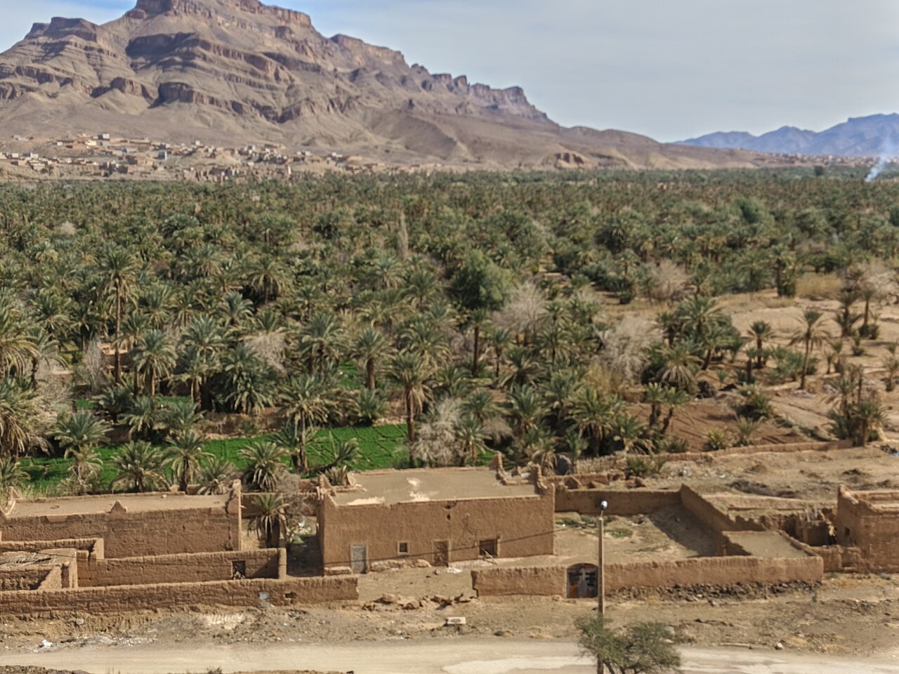 La palmeraie d'Agdz et le jebel Kissane, dans la vallée du Drâa