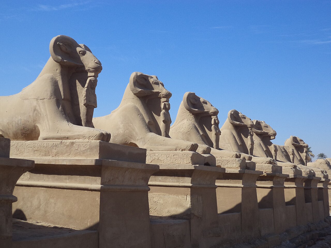 L'allée des sphinx