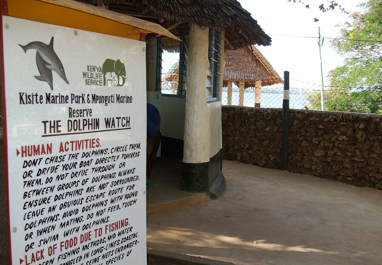 Kisite-Mpunguti Marine Park: dolphins and snorkelling from Wasini