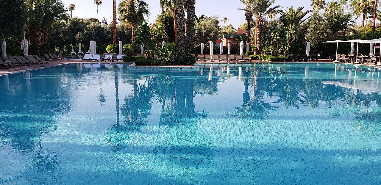 Grande piscine bordée de palmiers et de transats dans les jardins de La Mamounia