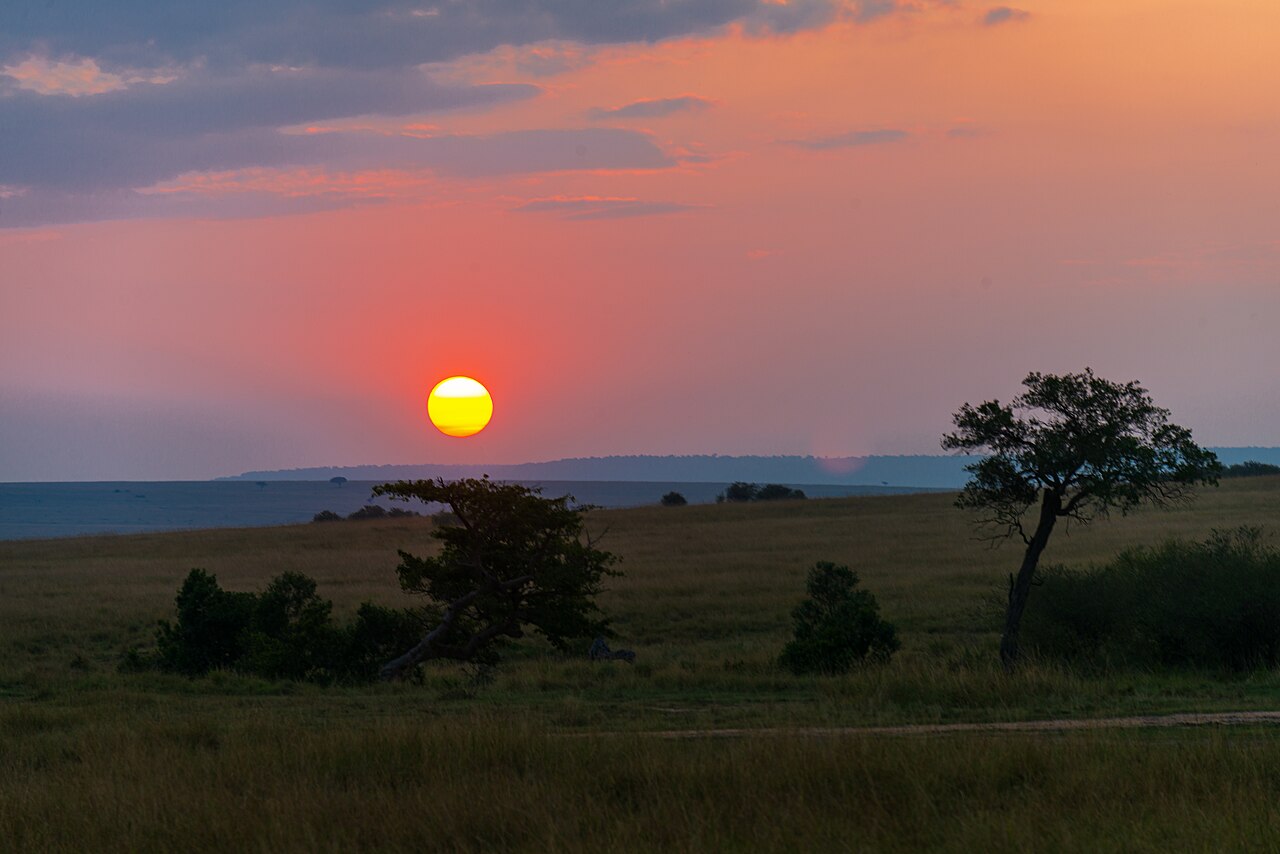 Safari au Kenya en 3 jours : l'itinéraire le plus rentable au départ de Nairobi