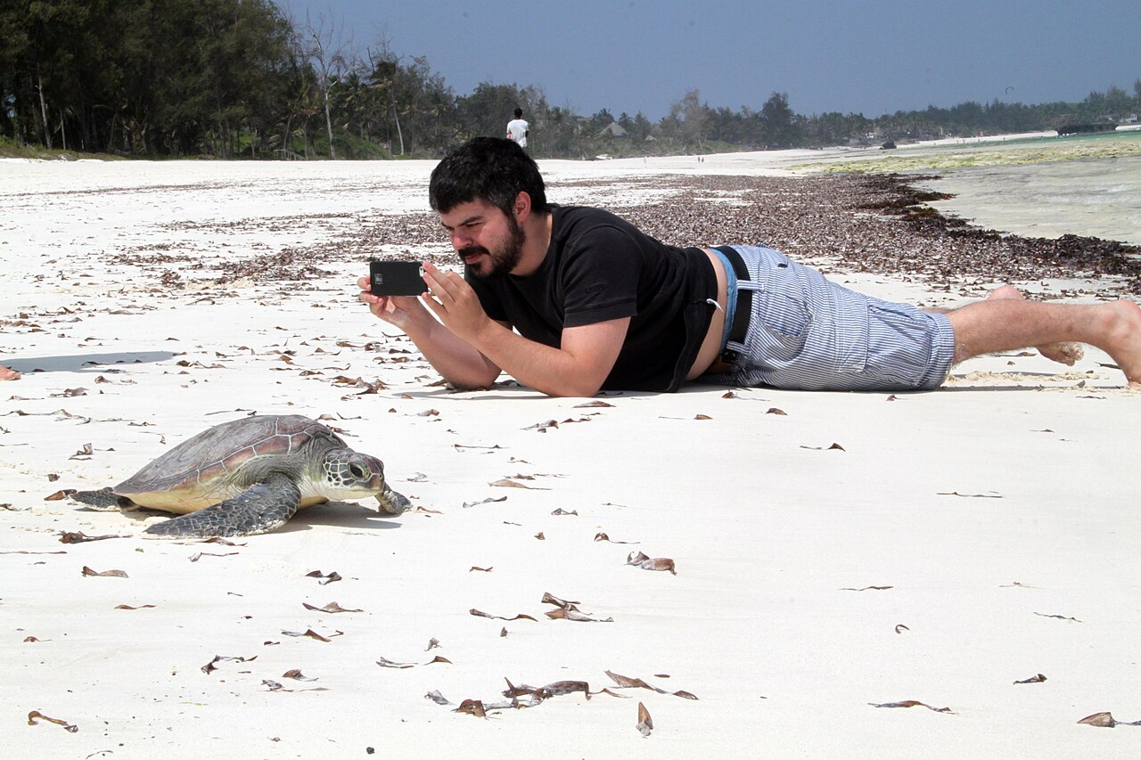 Meeresnationalpark Watamu: Schnorcheln, Schildkröten und Sandbank