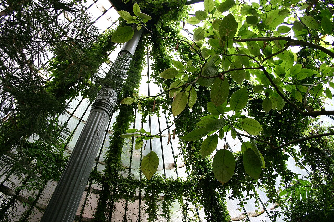 Jardin botanique royal de Madrid : horaires, tarifs et visite