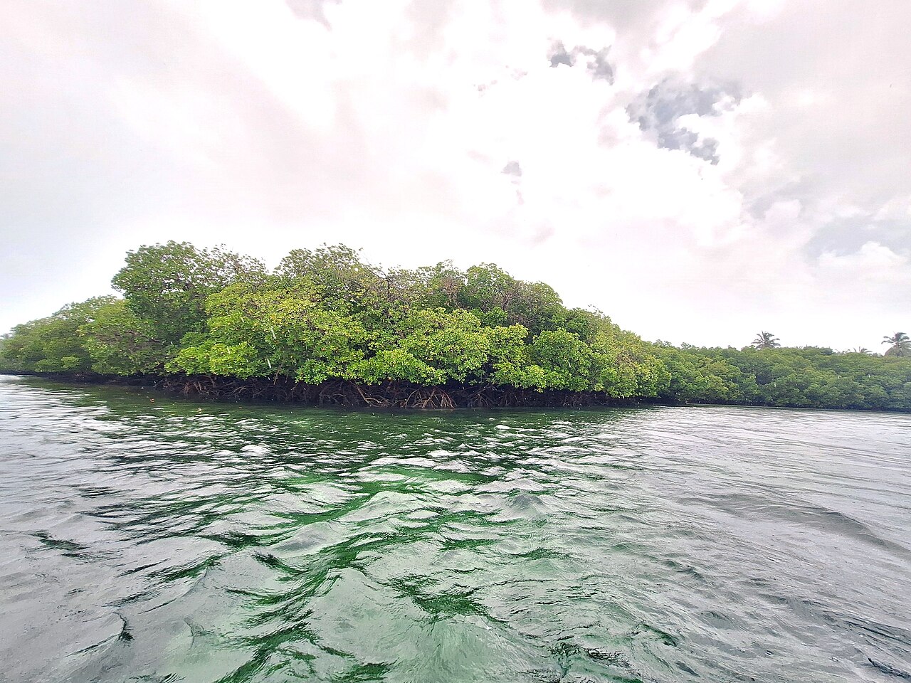 Watamu: Strände, Schildkröten und Schnorcheln an der Nordküste