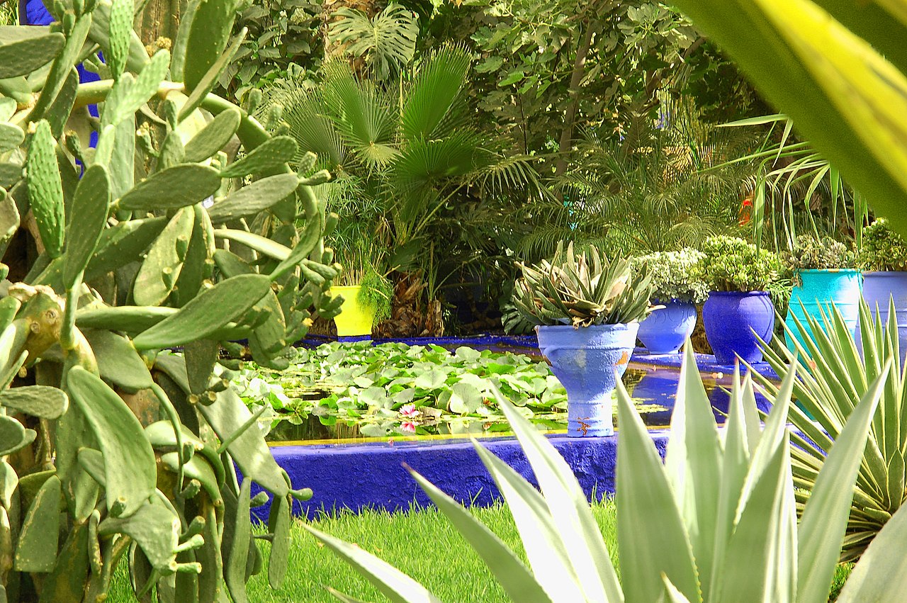 Les bassins et les pots colorés