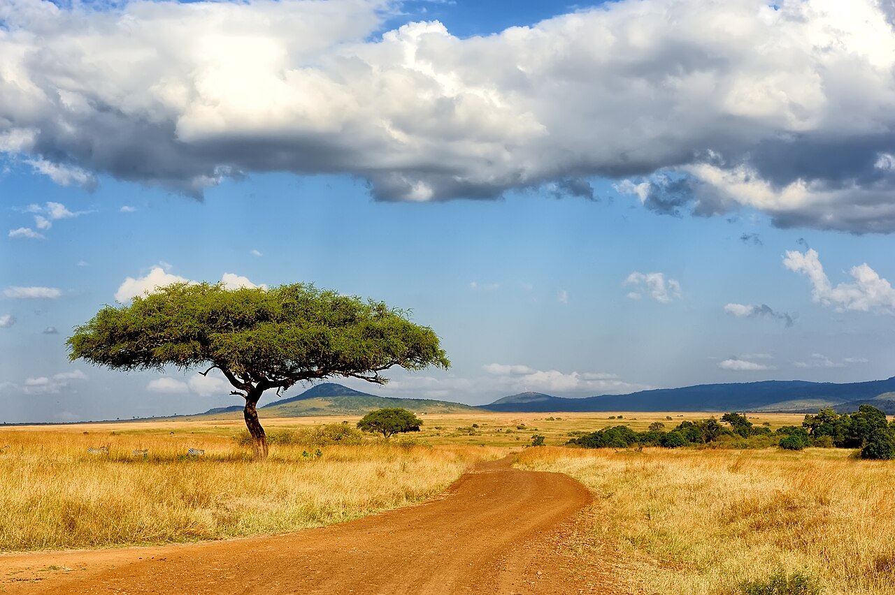 Réserve nationale du Masai Mara : tarif d'entrée, animaux et meilleure saison