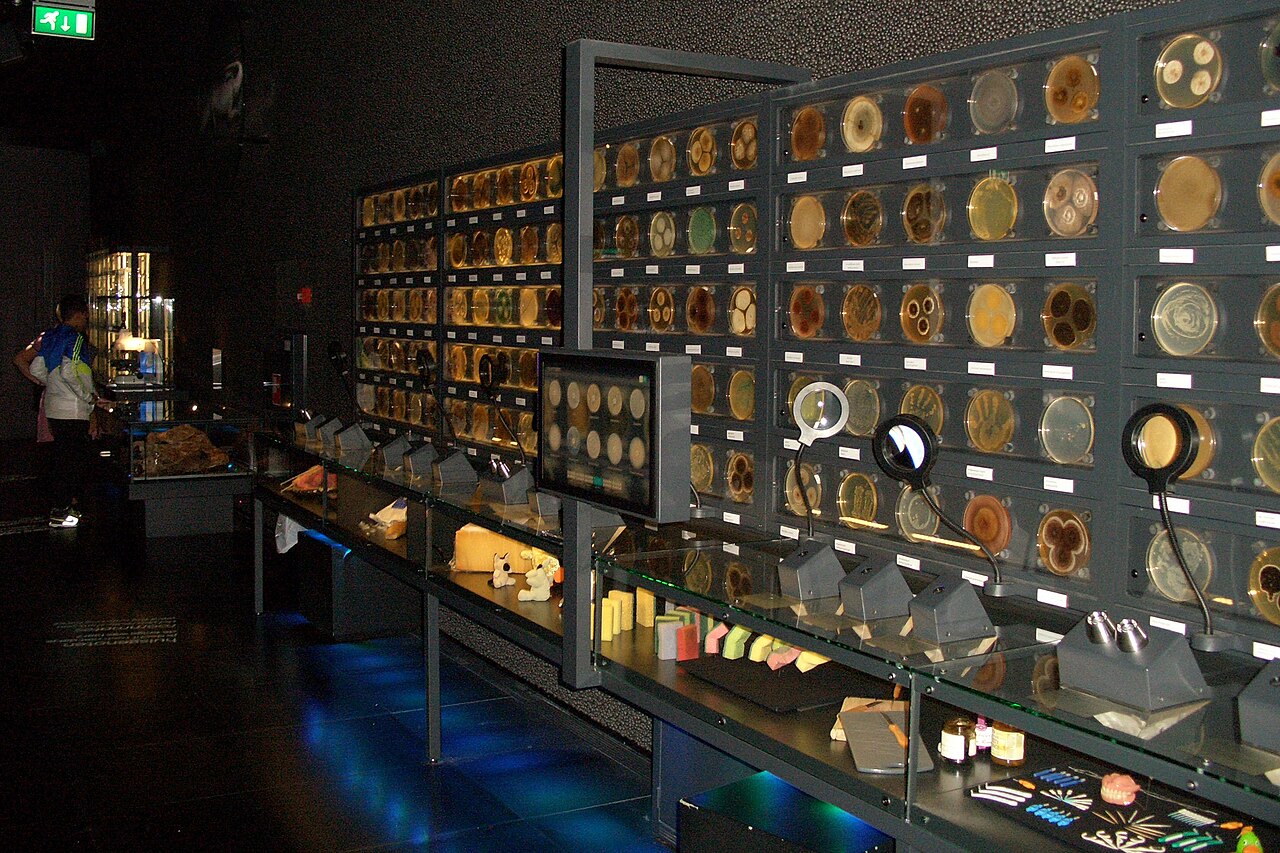 Micropia：阿姆斯特丹微生物博物館，門票、開放時間與參觀時長