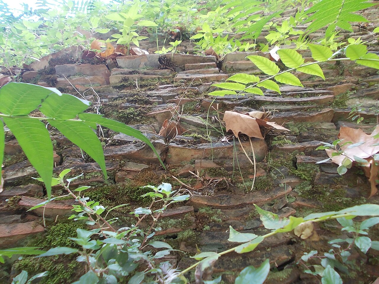 Amphora fragments on the slope of Monte Testaccio
