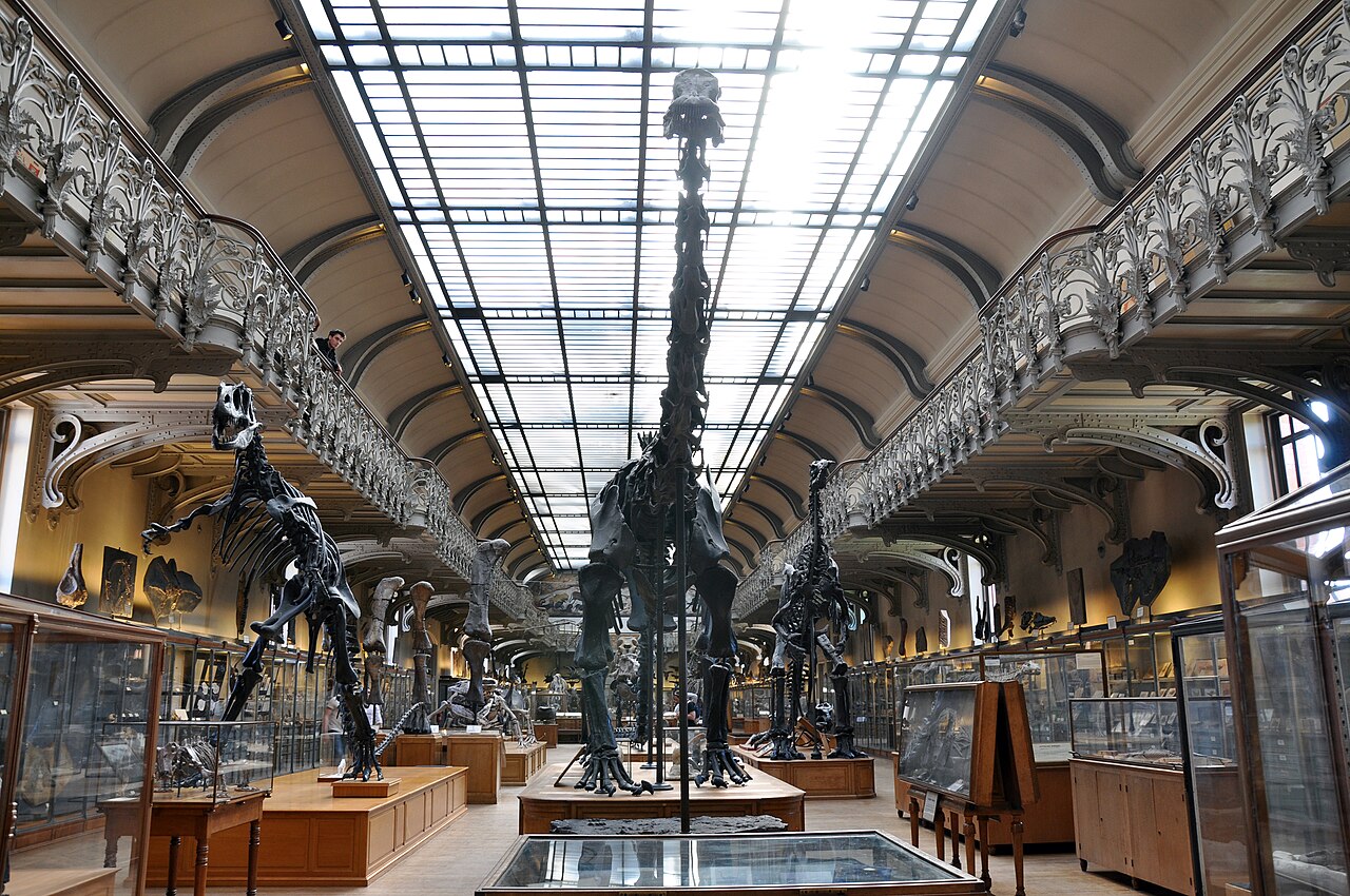 L'étage des dinosaures