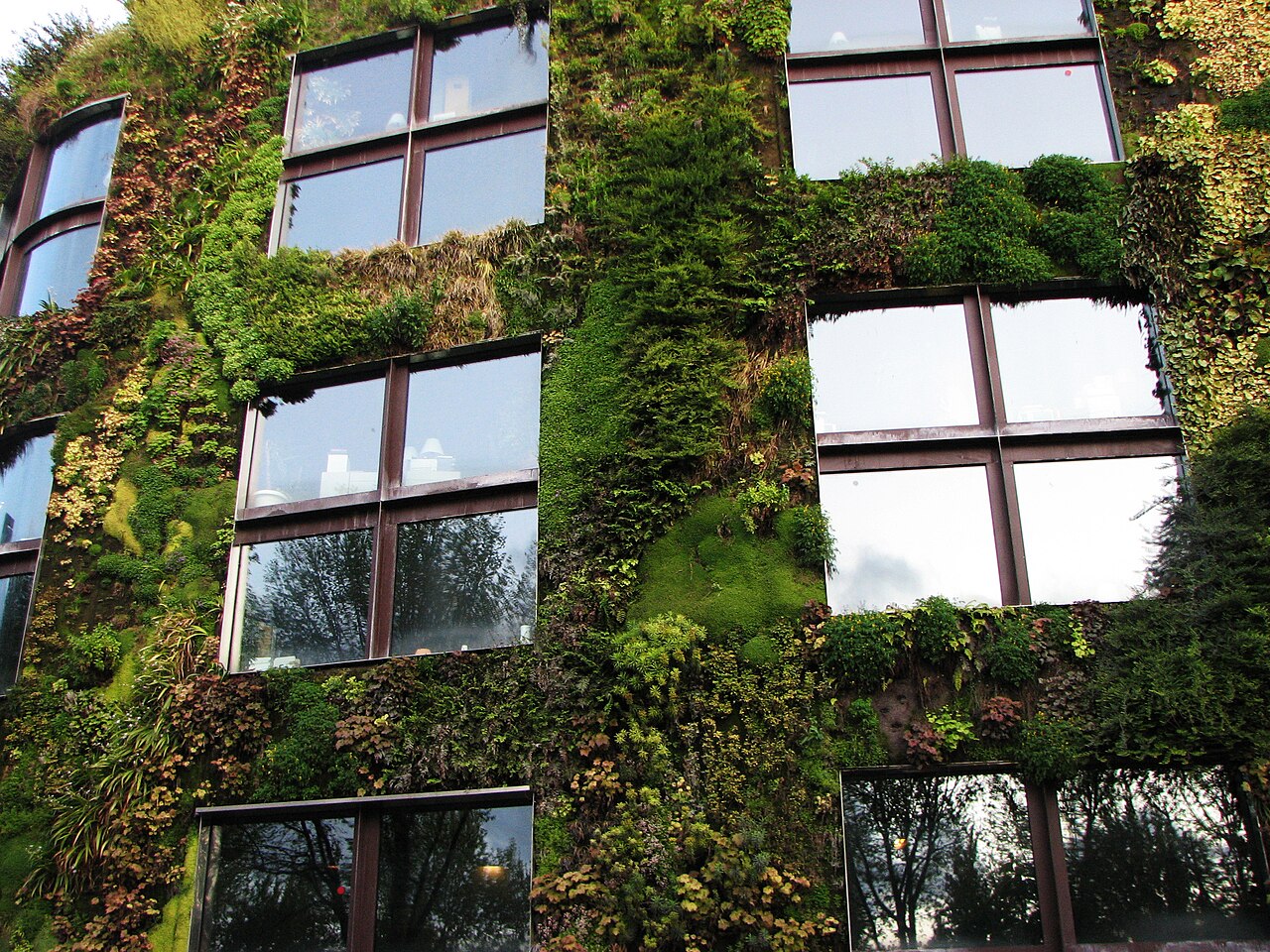 Le Mur Végétal du Quai Branly