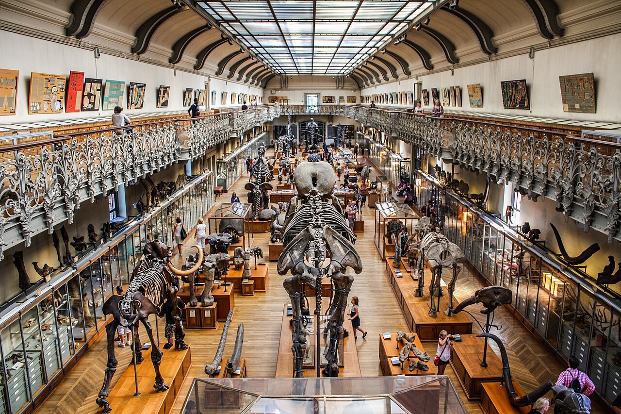Muséum national d'Histoire naturelle (MNHN) : galeries, Jardin des Plantes, horaires et tarifs