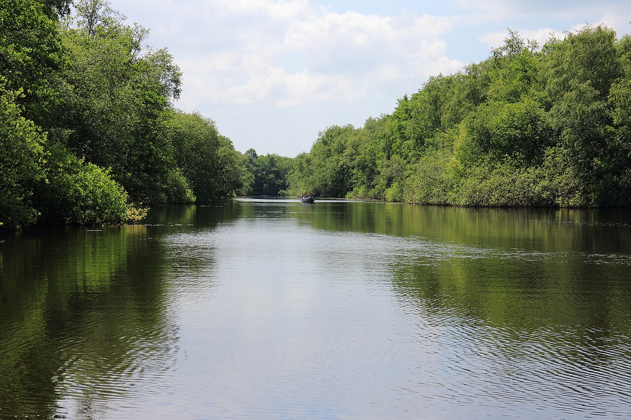 Un canal bordeado de árboles en el parque nacional Weerribben-Wieden