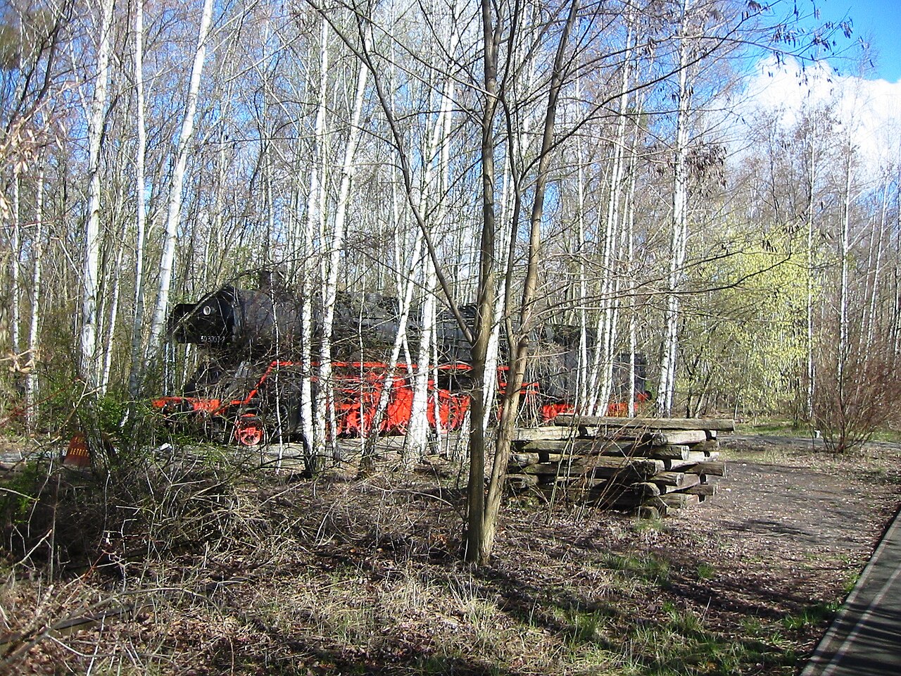 Природный парк Шёнебергер Зюдгеленде: дикая природа на бывшей сортировочной станции