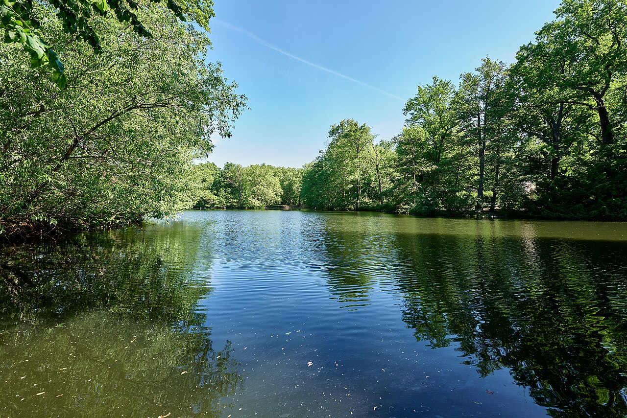 Tiergarten : le grand parc au cœur de Berlin